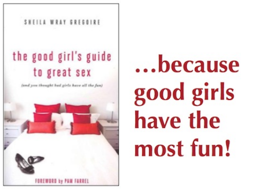 The good girls guide to great sex