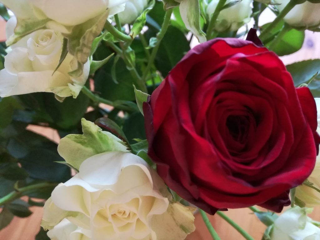 Bloemen